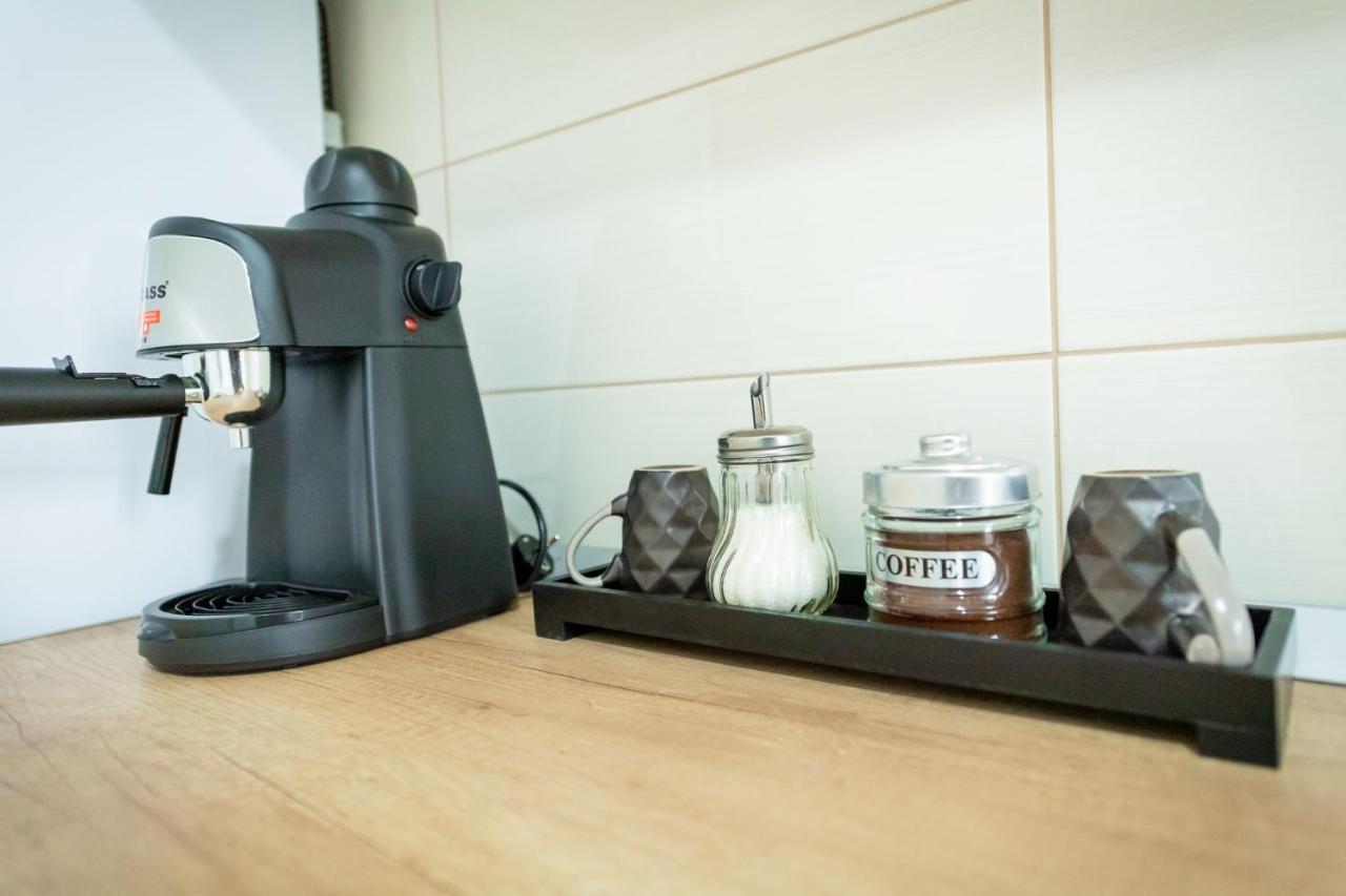 Coresi Vibe Studio ブラショフ エクステリア 写真
