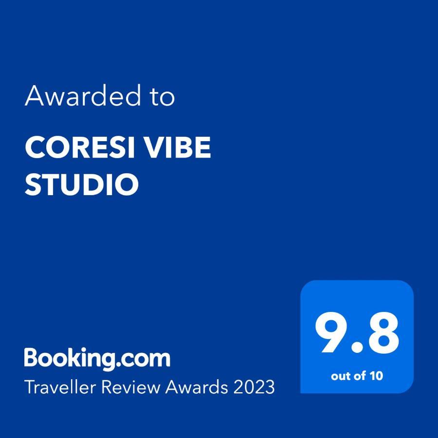 Coresi Vibe Studio ブラショフ エクステリア 写真